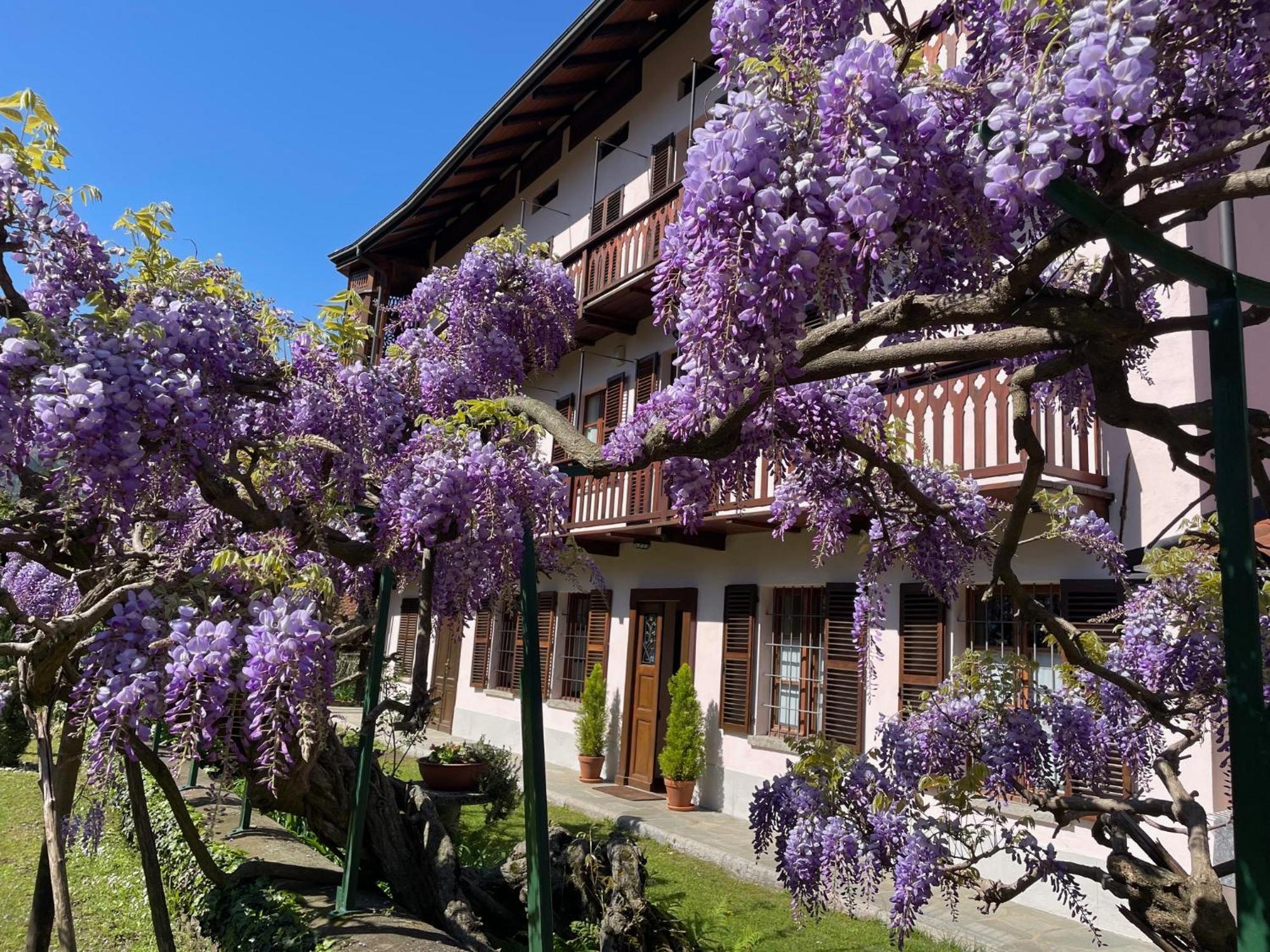 Dimora Fiorita Junior My Holiday Home วาราลโล ภายนอก รูปภาพ